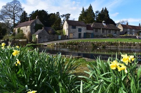 Tissington duck pond